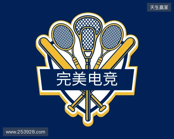 了解完美电竞